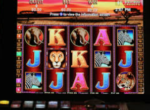 196体育经典版电脑免费版